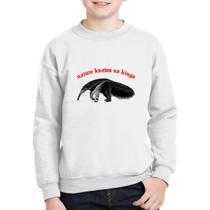 Nature Knows No Kings Nihilist Anteater Design Youth Sweatshirt by qulonuhun | Artistshot