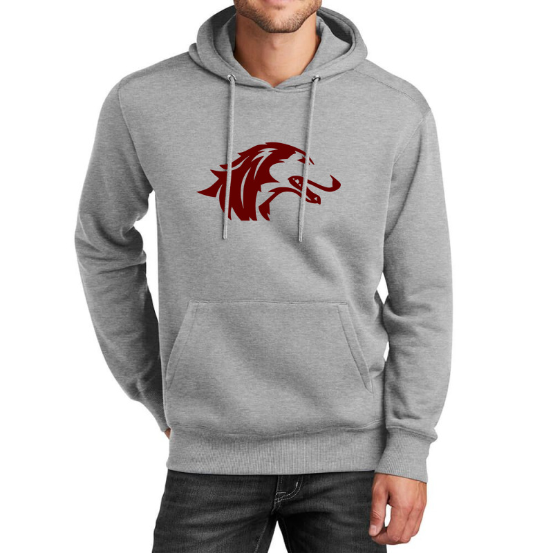 The Southern Illinois Salukis Unisex Hoodie by christiano rebeca | Artistshot