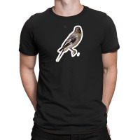 We Should Get Sushi Carol 94896886 T-shirt | Artistshot