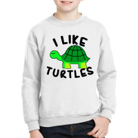 I Like Turtles Tortoise Sea Animal Youth Sweatshirt | Artistshot