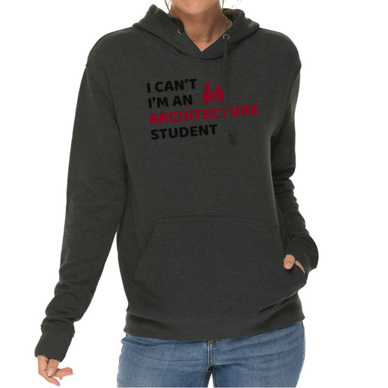 Architect Architecture Student Architectural Funny Lightweight Hoodie | Artistshot