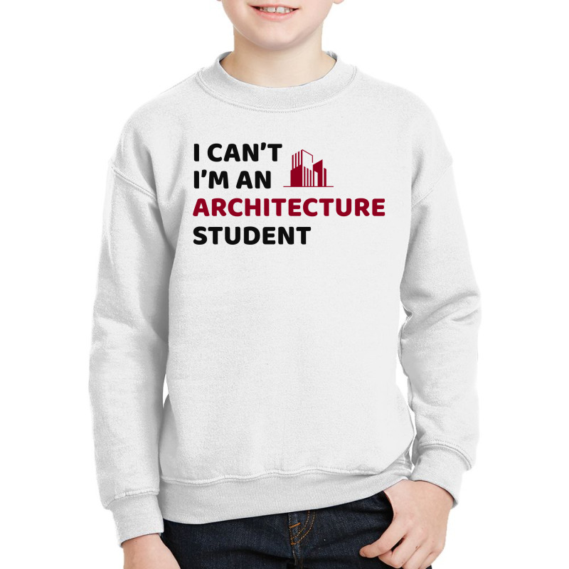 Architect Architecture Student Architectural Funny Youth Sweatshirt | Artistshot