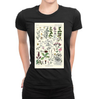 Digestive Plants  Adolphe Millot Ladies Fitted T-shirt | Artistshot