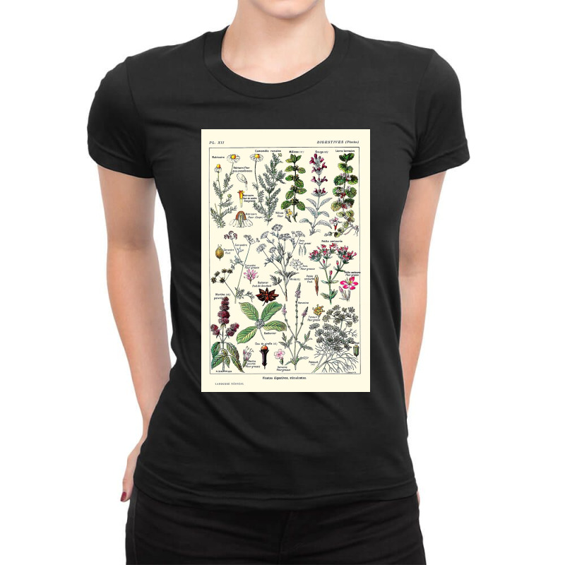 Digestive Plants  Adolphe Millot Ladies Fitted T-Shirt by halseymaria | Artistshot