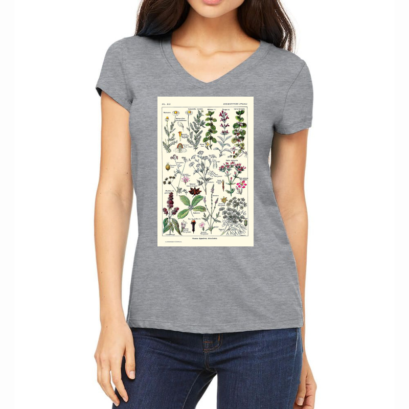 Digestive Plants  Adolphe Millot Women's V-Neck T-Shirt by halseymaria | Artistshot