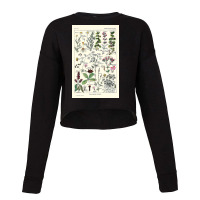 Digestive Plants  Adolphe Millot Cropped Sweater | Artistshot