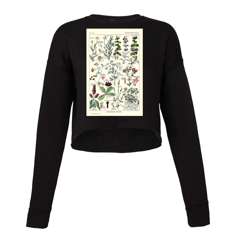 Digestive Plants  Adolphe Millot Cropped Sweater by halseymaria | Artistshot