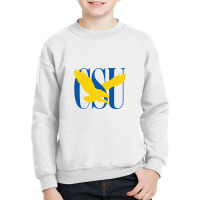 Coppin State Youth Sweatshirt | Artistshot