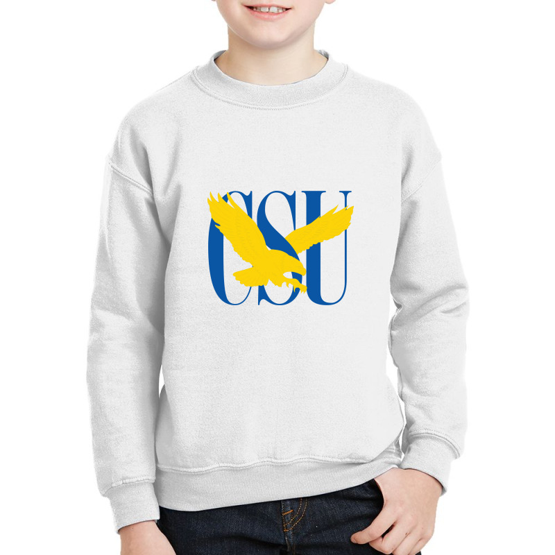 Coppin State Youth Sweatshirt | Artistshot