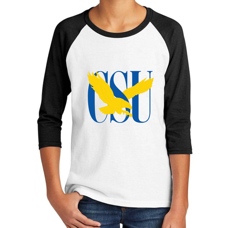 Coppin State Youth 3/4 Sleeve | Artistshot