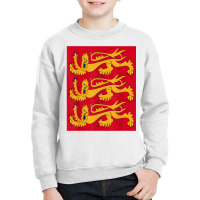 House Of Plantagenet T Shirt Angevin Empire Lancaster York Youth Sweatshirt | Artistshot