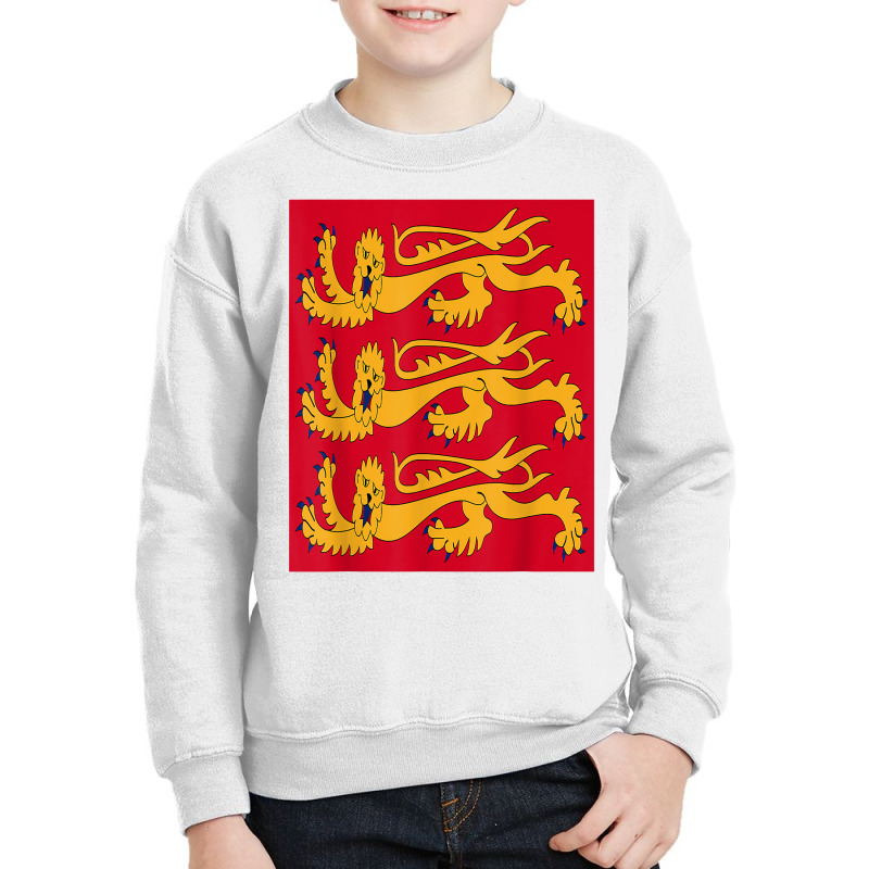 House Of Plantagenet T Shirt Angevin Empire Lancaster York Youth Sweatshirt | Artistshot