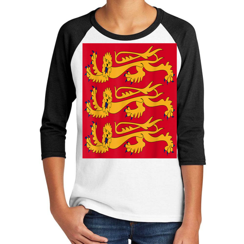 House Of Plantagenet T Shirt Angevin Empire Lancaster York Youth 3/4 Sleeve | Artistshot