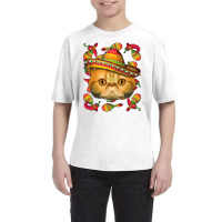 Cinco De Mayo Exotic Shorthair Sombrero Mexican Cat Fiesta T Shirt Youth Tee | Artistshot