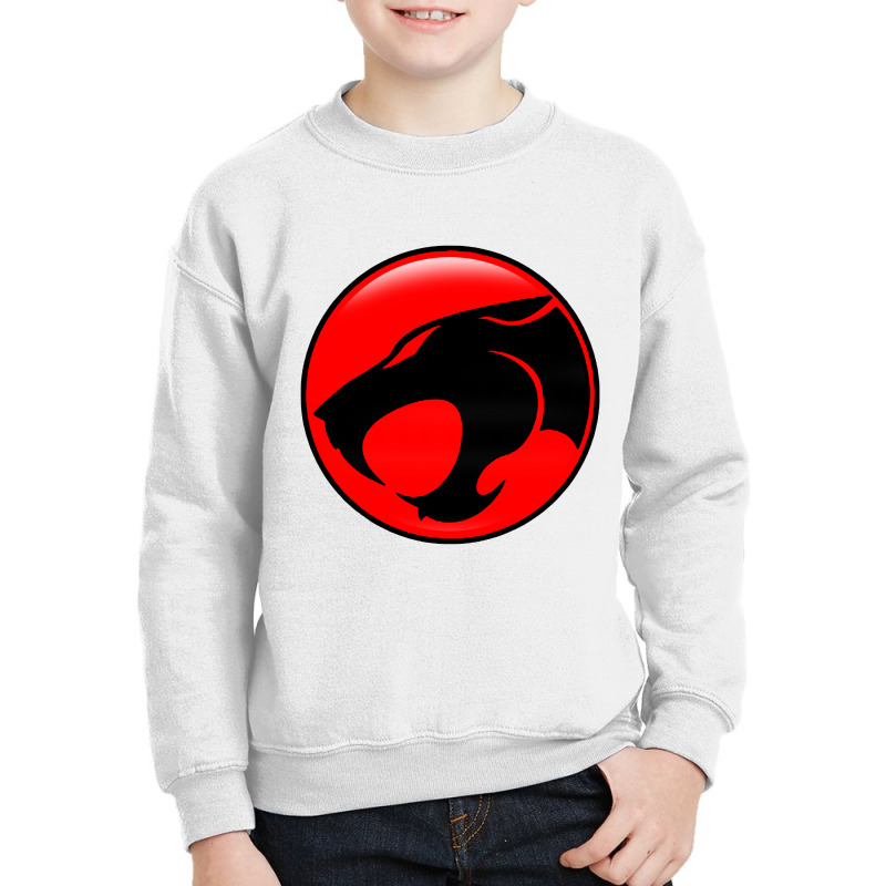 Thundercats Cool Youth Sweatshirt by ardylanda | Artistshot