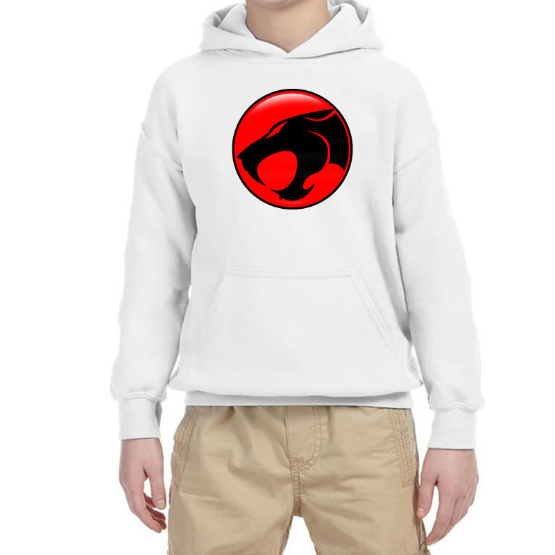 Thundercats Cool Youth Hoodie by ardylanda | Artistshot