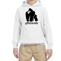 Harambe Youth Hoodie | Artistshot