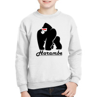 Harambe Youth Sweatshirt | Artistshot