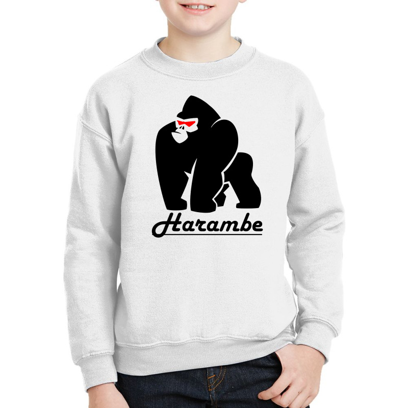 Harambe Youth Sweatshirt by arlida88 | Artistshot