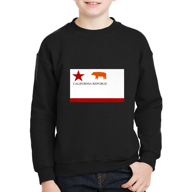 California Republic Todd's Bear Flag Of 1846 Usa Youth Sweatshirt by celanasubek | Artistshot