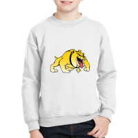 Bowie State Bulldogs Youth Sweatshirt | Artistshot