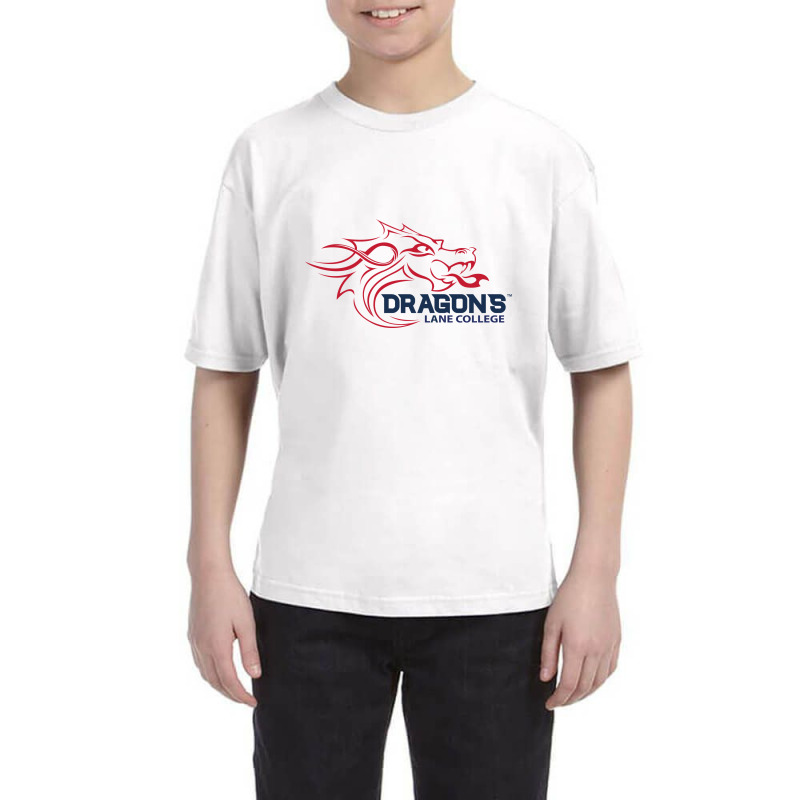 Lane College Dragons Youth Tee by Ellard grey | Artistshot