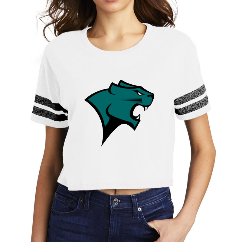 Chicago State Cougars Scorecard Crop Tee by apolitery | Artistshot