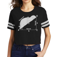 Hippo Math Analytical Funny Sarcasm Humor Teacher T Shirt Scorecard Crop Tee | Artistshot