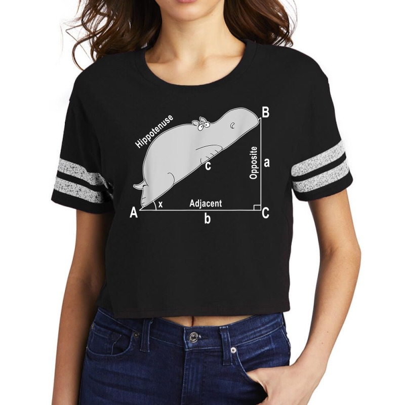 Hippo Math Analytical Funny Sarcasm Humor Teacher T Shirt Scorecard Crop Tee by aryanahjerich | Artistshot