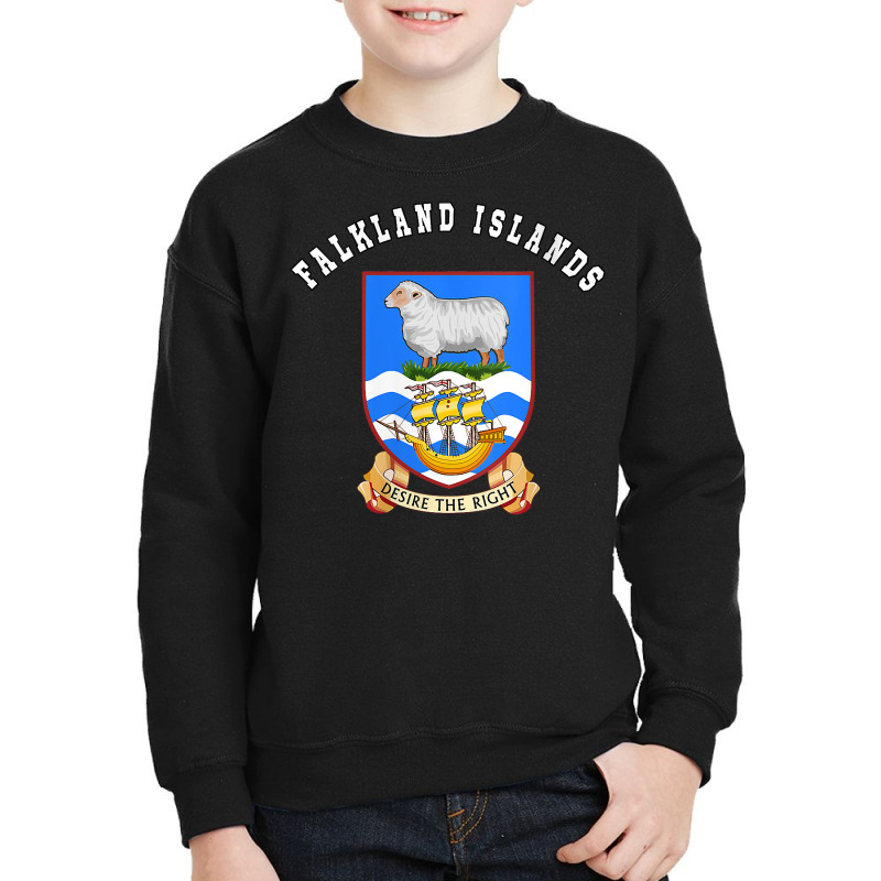 Womens Falkland Islands T Shirt Coat Of Arms Tee Flag Souvenir V Neck Youth Sweatshirt by malyahdepetris | Artistshot