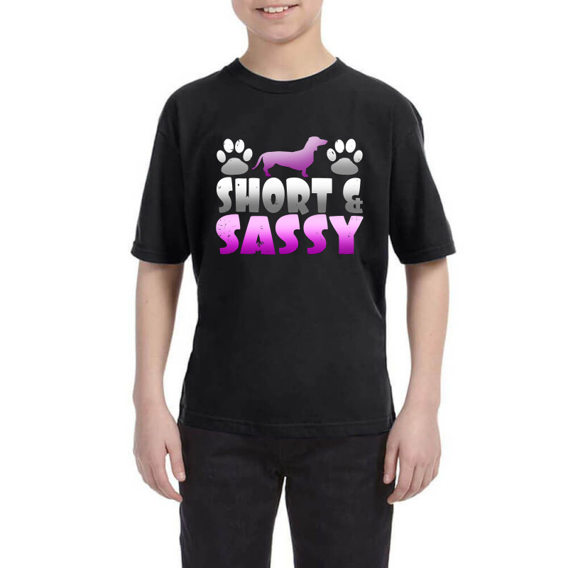 Cute Short And Sassy Wiener Dog Short Legged Hound T Youth Tee | Artistshot