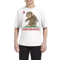 California Republic Bigfoot Flag Sasquatch Squatch Funny T Shirt Youth Tee | Artistshot