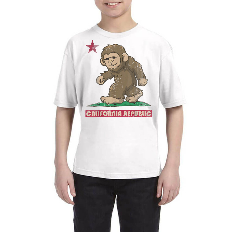 California Republic Bigfoot Flag Sasquatch Squatch Funny T Shirt Youth Tee by nycerecoverdell | Artistshot