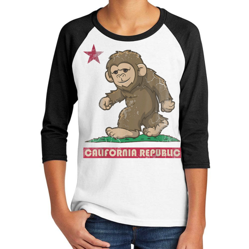 California Republic Bigfoot Flag Sasquatch Squatch Funny T Shirt Youth 3/4 Sleeve by nycerecoverdell | Artistshot