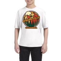 Vintage Springville, California Mountain Hiking Souvenir Pri Long Slee Youth Tee | Artistshot