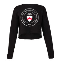 Princeton Theological Seminary Cropped Sweater | Artistshot