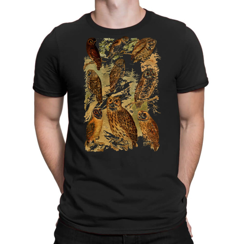 Birds Of Prey T  Shirt Many Different Owls! T  Shirt T-shirt | Artistshot