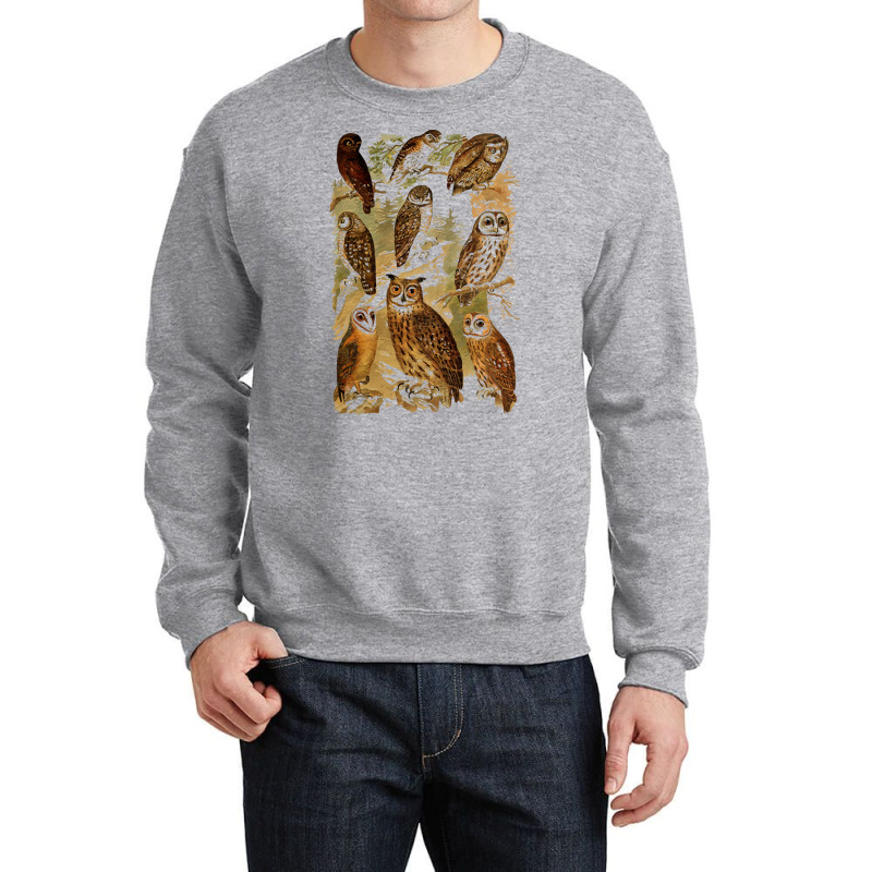 Birds Of Prey T  Shirt Many Different Owls! T  Shirt Crewneck Sweatshirt | Artistshot