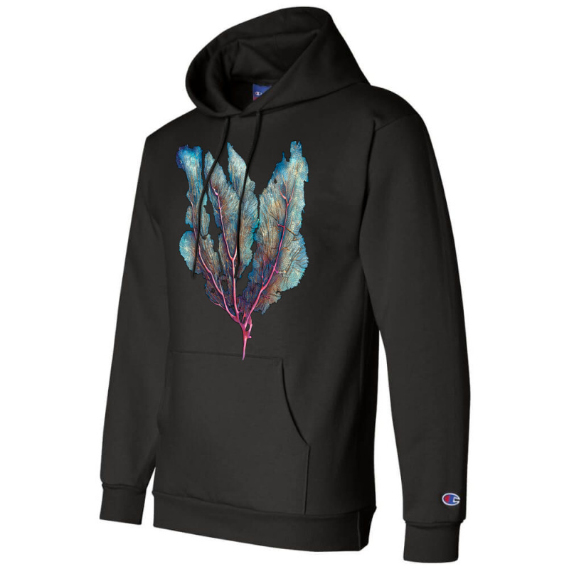 Venus Fan Sea Coral Champion Hoodie | Artistshot