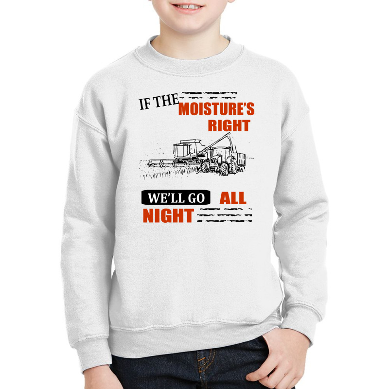 If The Moisture's Right Youth Sweatshirt by denidadidu | Artistshot