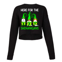 The Shenanigans Cute Green Cropped Sweater | Artistshot