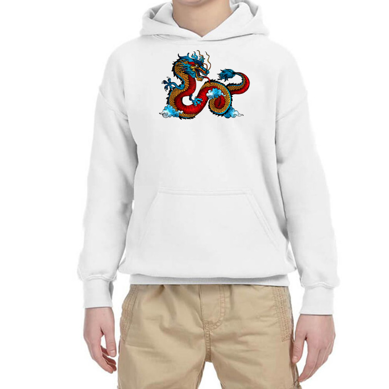 Beautiful Chinese Dragon In The Clouds Art T Shirt Youth Hoodie | Artistshot