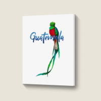 Guatemala Quetzal T Shirt Portrait Canvas Print | Artistshot