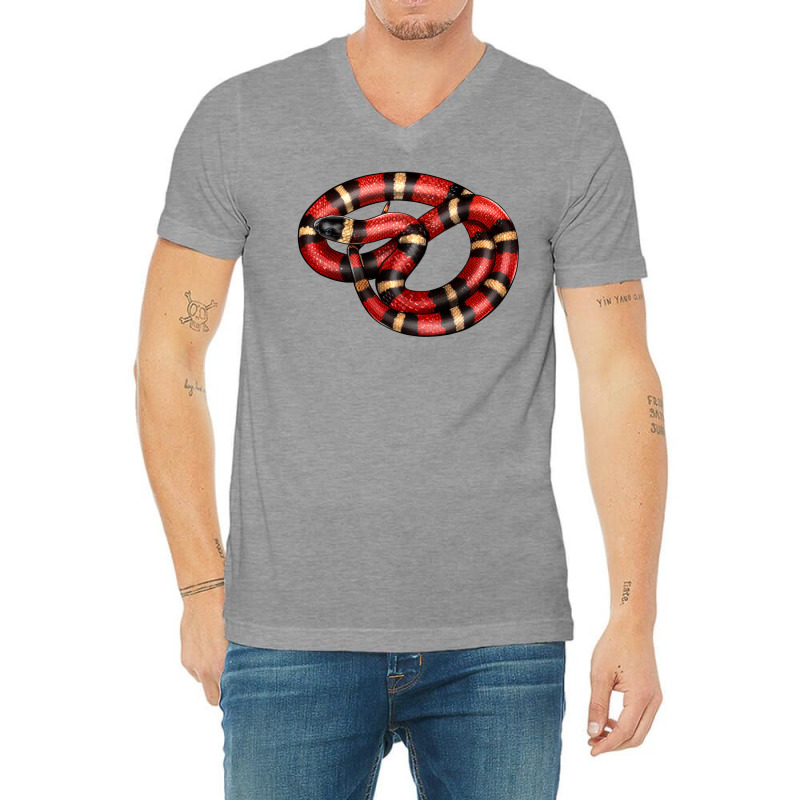 Milk Snake V-Neck Tee by LillyAllenDesigns | Artistshot