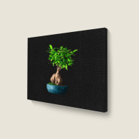 Ficus Ginsenge Landscape Canvas Print | Artistshot