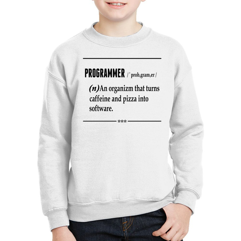 Programmer  Noun Youth Sweatshirt | Artistshot