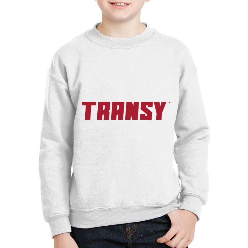 Transylvania University Transylvania  Pioneers Youth Sweatshirt by AmeliaBeatrix | Artistshot