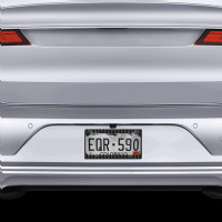 emory license plate frame