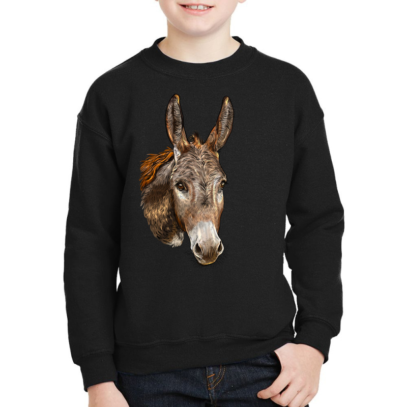 Andalusian Donkey Face Youth Sweatshirt | Artistshot