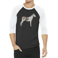 Andalusian Donkey 3/4 Sleeve Shirt | Artistshot